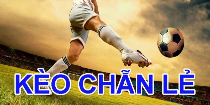 Mách Bạn Cách Đọc Kèo Chẵn Lẻ Cực Hiệu Quả Nhất 2025 1 kèo chẵn lẻ